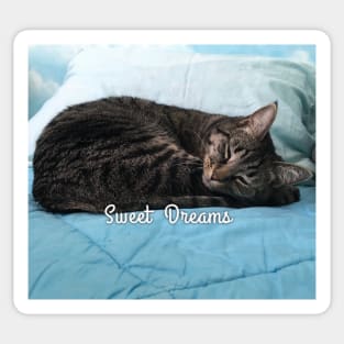 Sweet Dreams Sticker